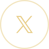 X (Twitter)